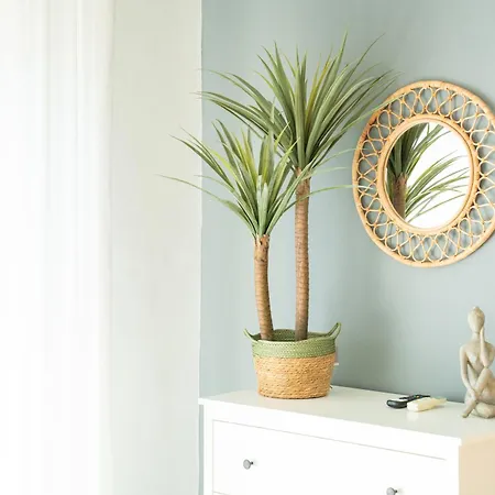 Maison Zanardelli 41 *