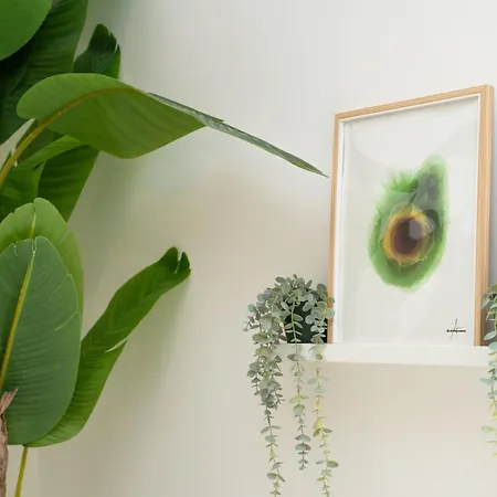 Maison Zanardelli 41 巴里