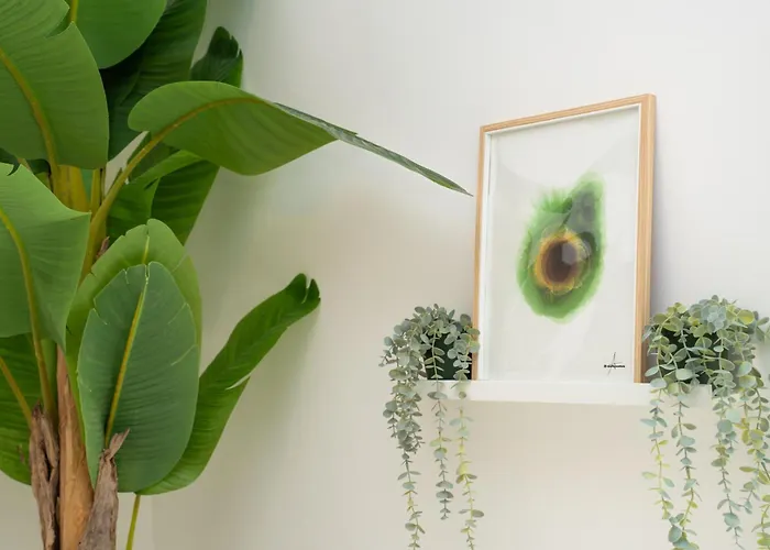 Maison Zanardelli 41 Бари